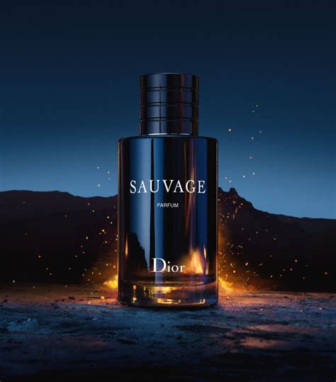 dior sauvage fragrances|dior sauvage fragrance description.